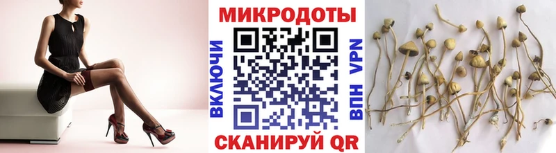 Галлюциногенные грибы Magic Shrooms  Дзержинск 
