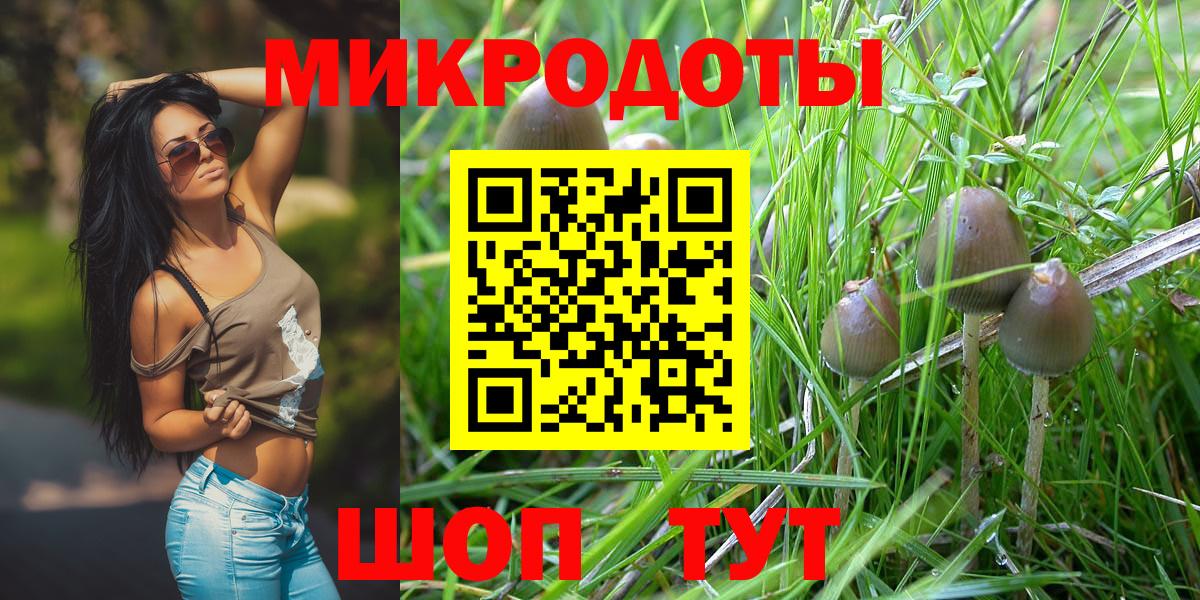 Псилоцибиновые грибы Psilocybine cubensis  Псилоцибиновые грибы ЛСД  наркошоп  Вход с VPN  Дзержинск 