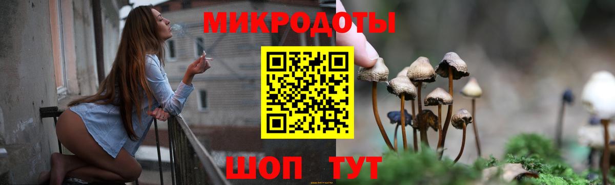 Псилоцибиновые грибы мухоморы Дзержинск